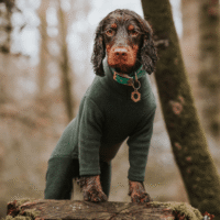 Pawsome Paws Zipped 4 Legged Fleece Suit Green Medium
