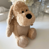 Oh So Precious Comfort Bear With Voice Recorder & Keepsake Tin