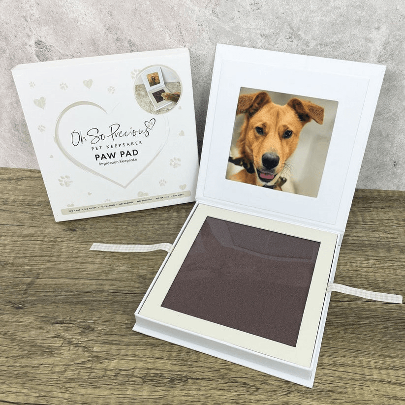 Oh So Precious Paw Print Impression Keepsake