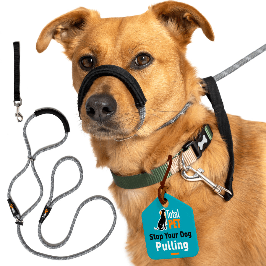 Total Pet Padded Rope Figure Of 8 Lead M/L