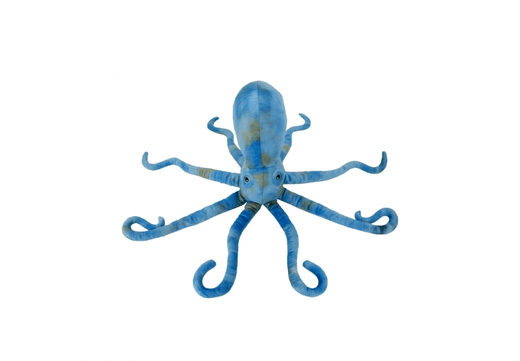 Ancol Phil The Kracken 60cm