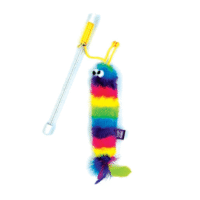 Tabby Patch Rainbow Cat Teaser