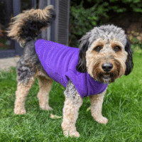 Pawsome Fleece Tankie Purple Small
