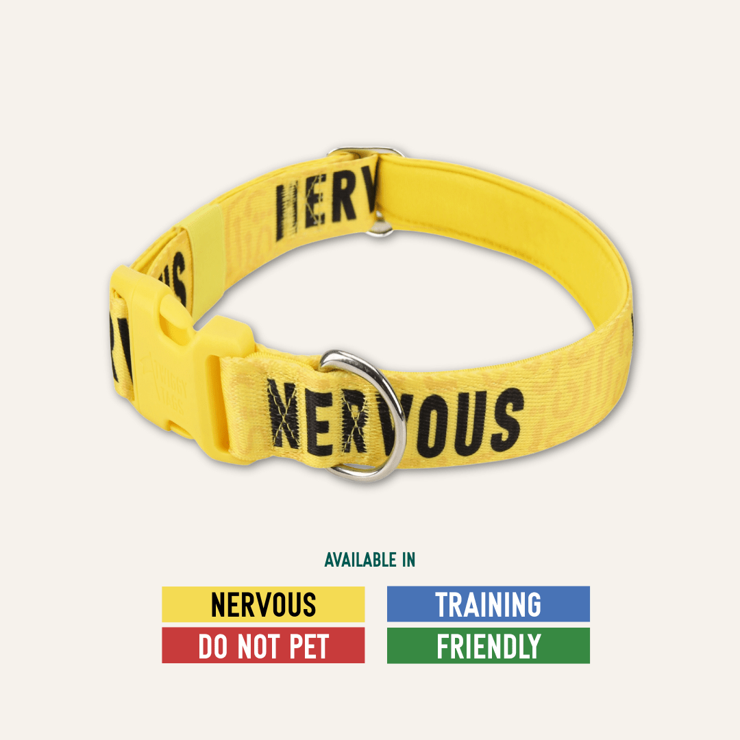 Twiggy Tags Nervous Awareness Collar Medium