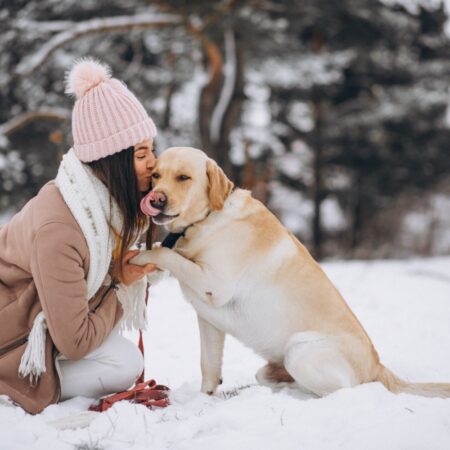Caring for your pets in the winter lady in pink hat with dog in the snow