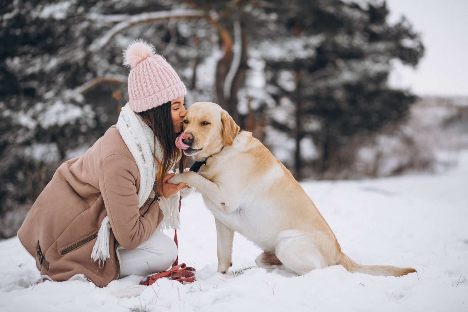 Caring for your pets in the winter lady in pink hat with dog in the snow