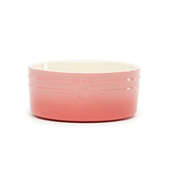 Scruffs Ceramic Bowl Ombre Pink 19cm