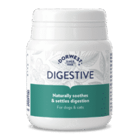 Dorwest Digestive 100 Tablets