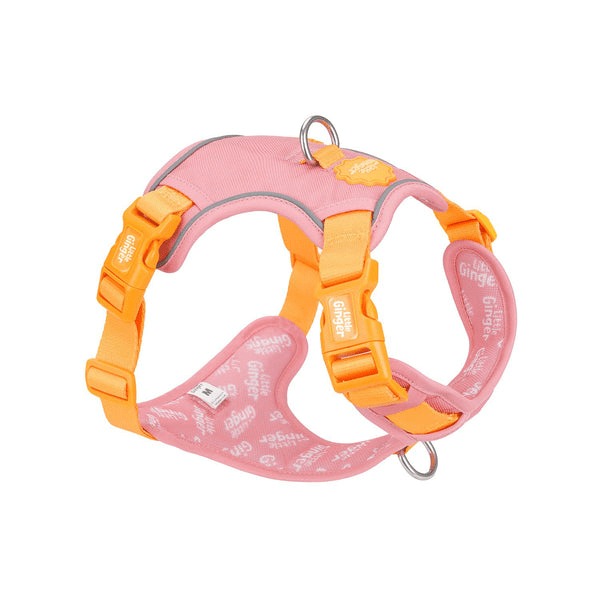 Little Ginger Control Harness Tutti-Fruity XL