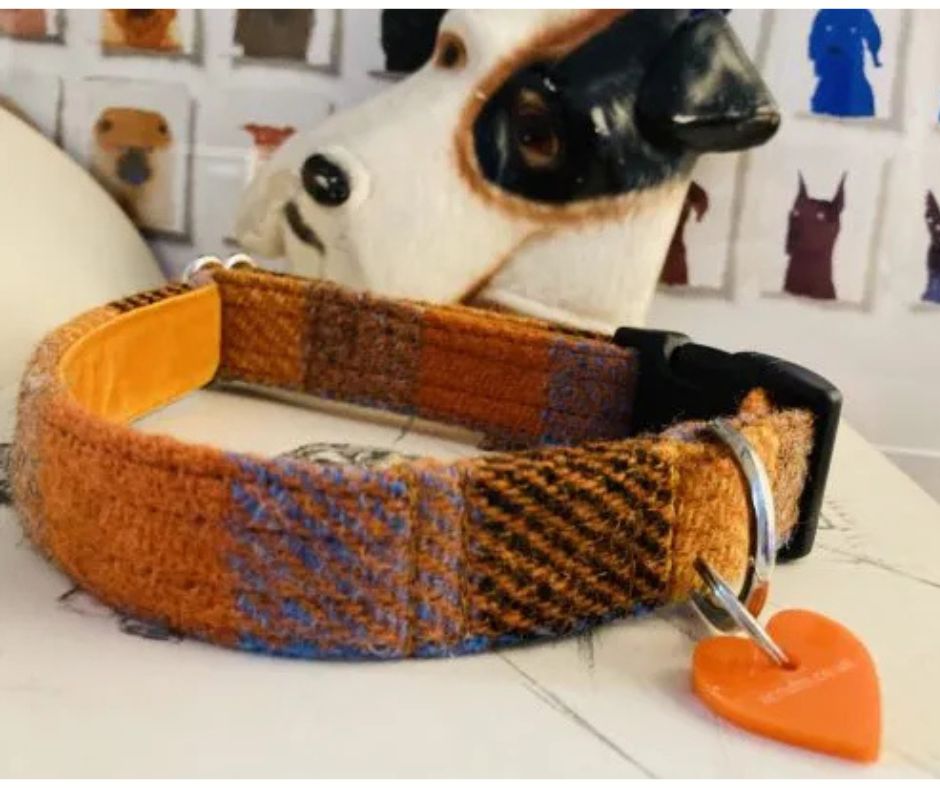 Scrufts Collar Ginger Snap Medium