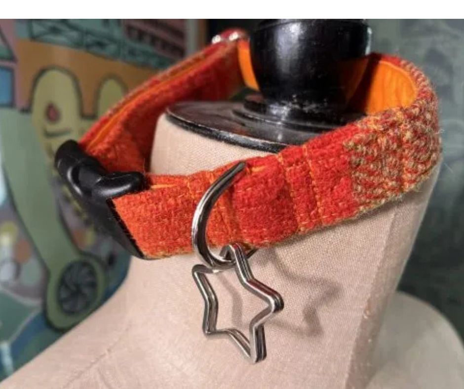 Scrufts Collar Woody Velvet Medium