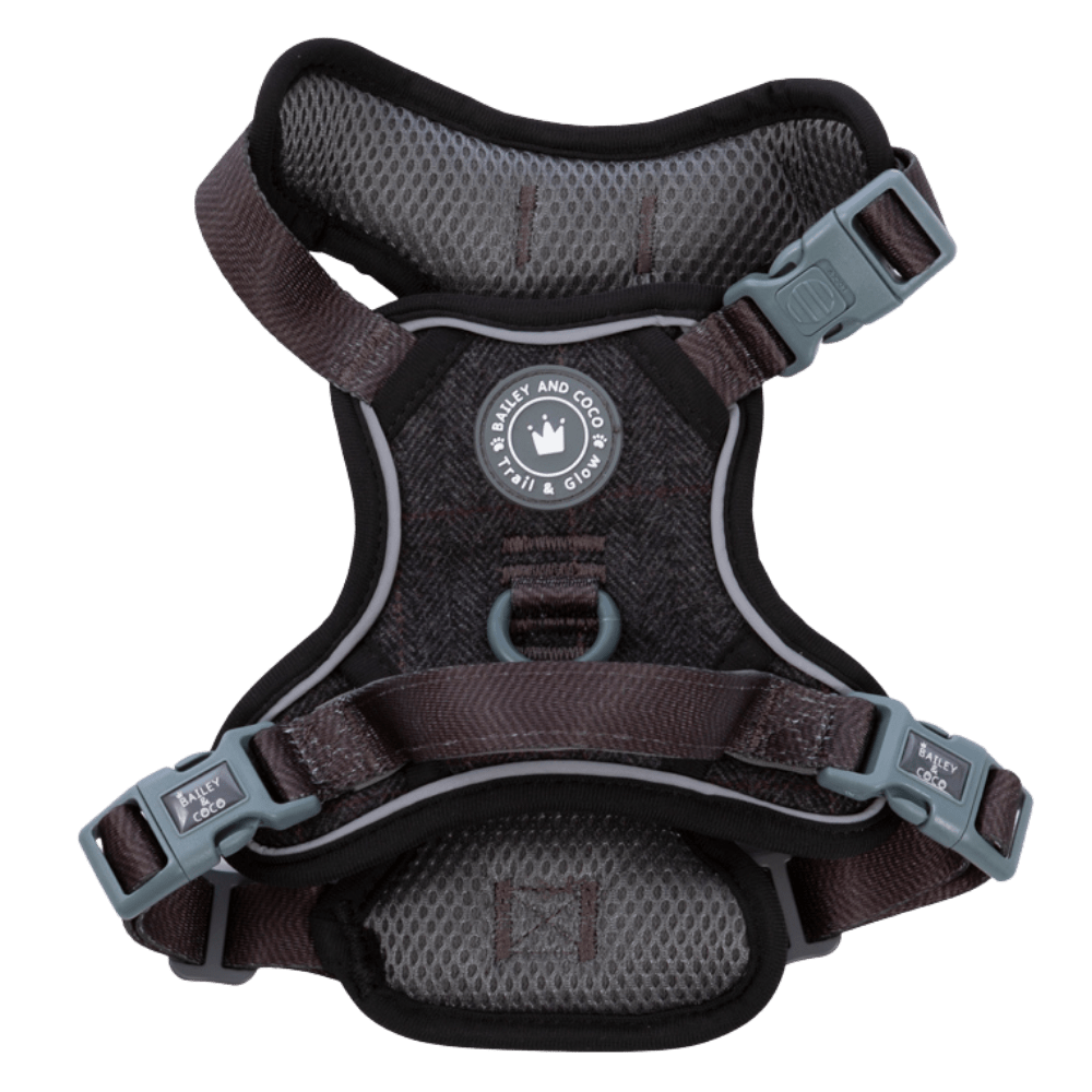 Bailey & Coco Trail & Glow Harness Charcoal Tweed Large