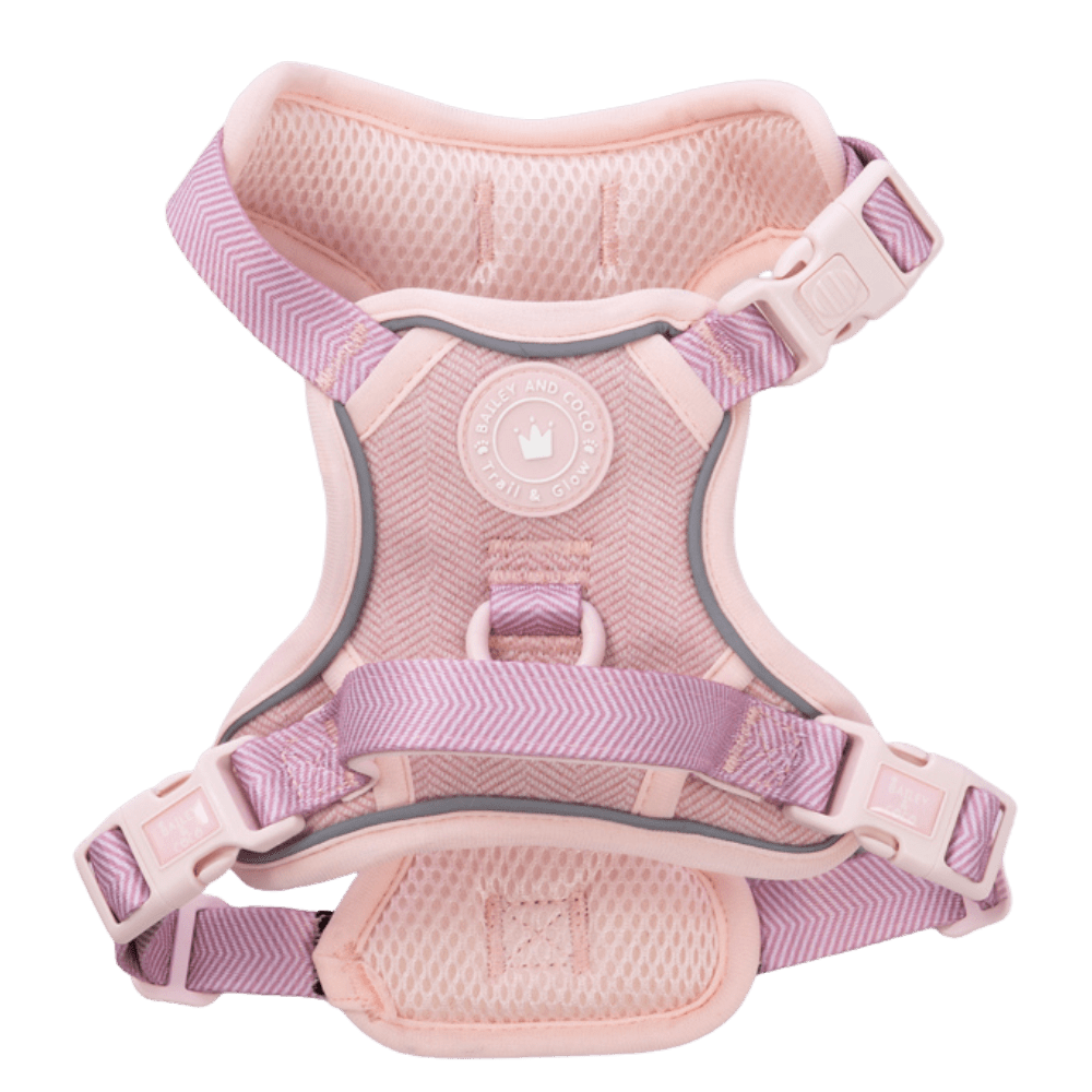 Bailey & Coco Trail & Glow Harness Lavender Tweed XS