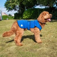 Ancol Cooling Coat XL