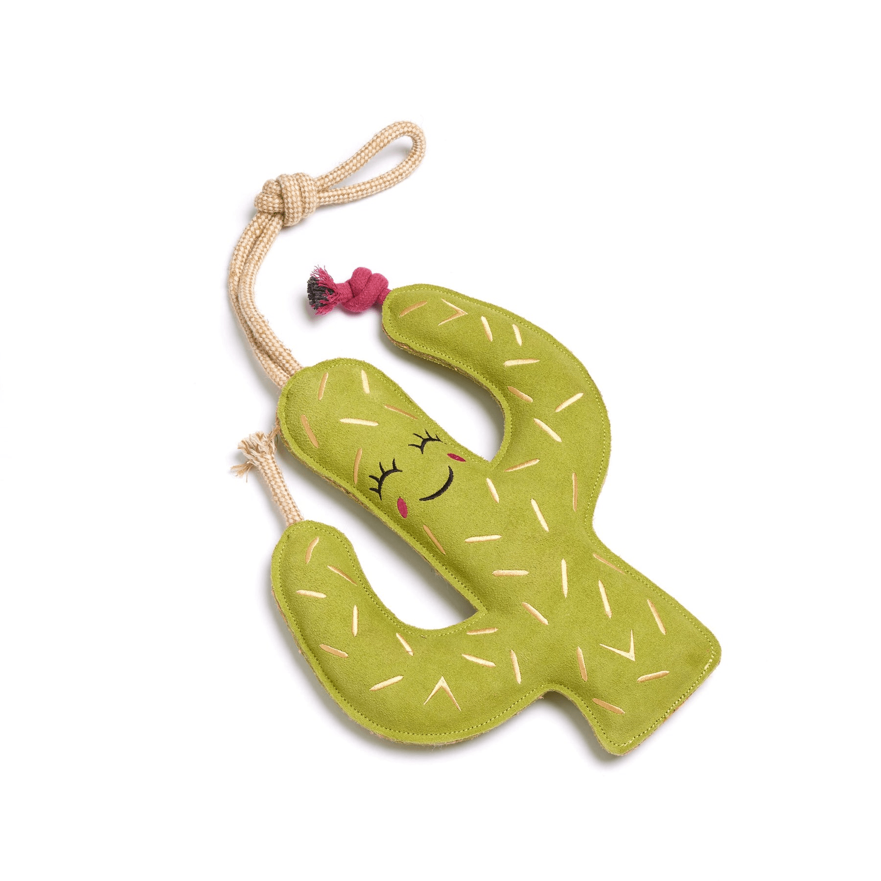 Green & Wilds Prickly Pam Eco Toy