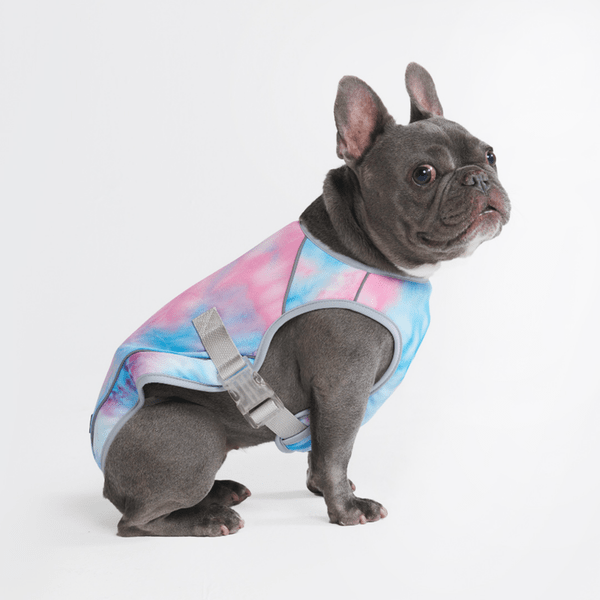 Spark Paws Cooling Vest XL Snow Cone
