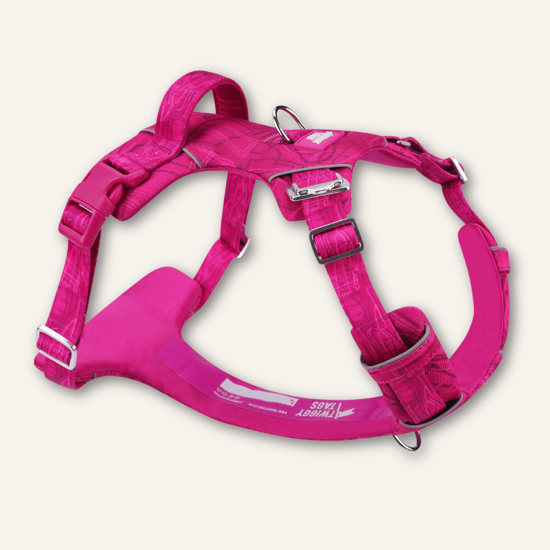 Twiggy Tags Adventure Harness Sakura Size 4