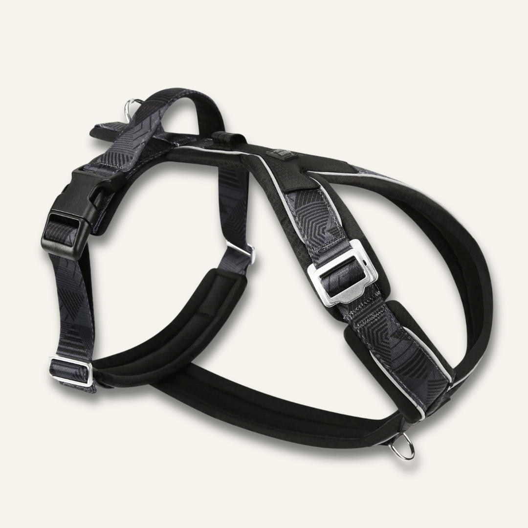 Twiggy Tags Apex Harness Onyx XL