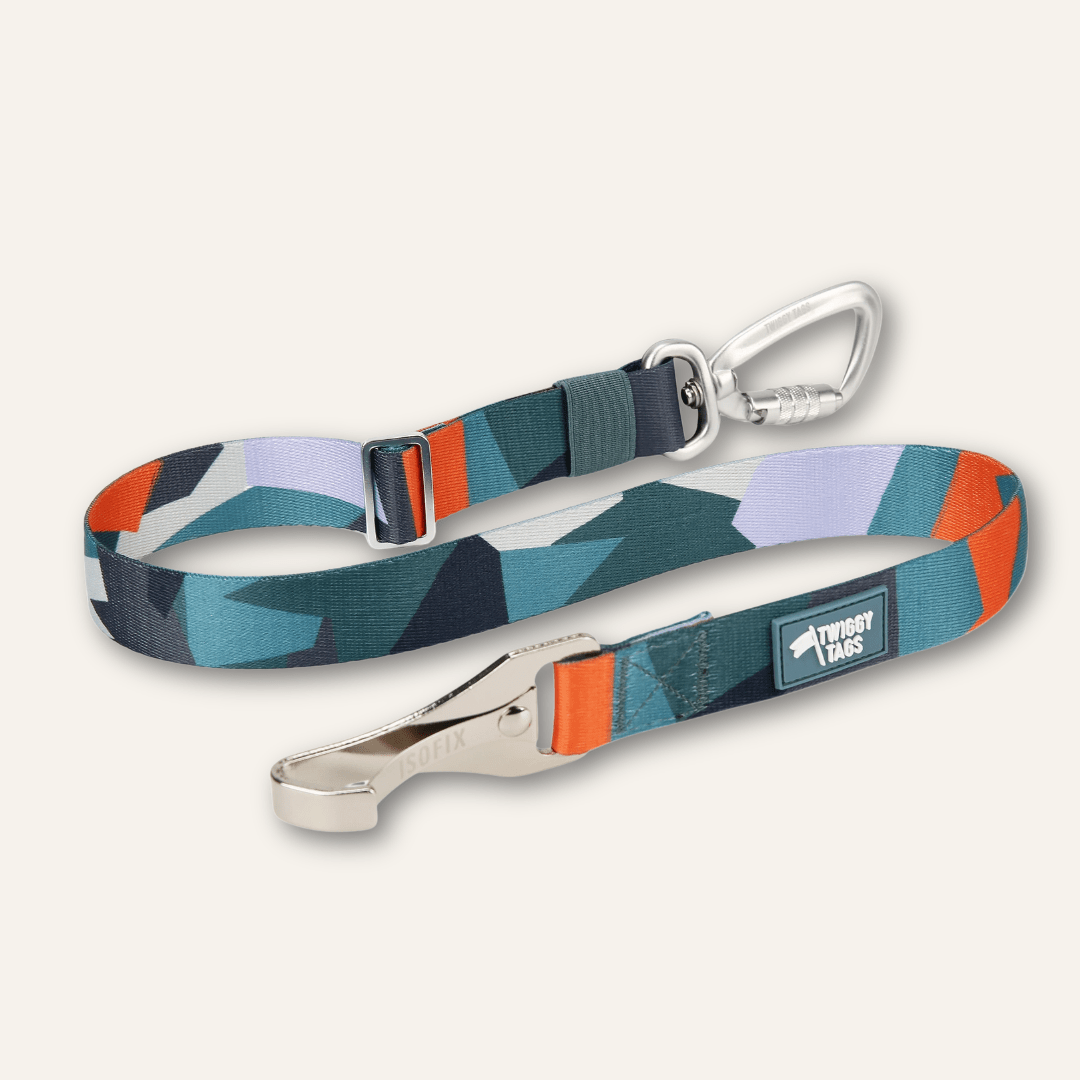 Twiggy Tags Isofix Seat Belt Ridge