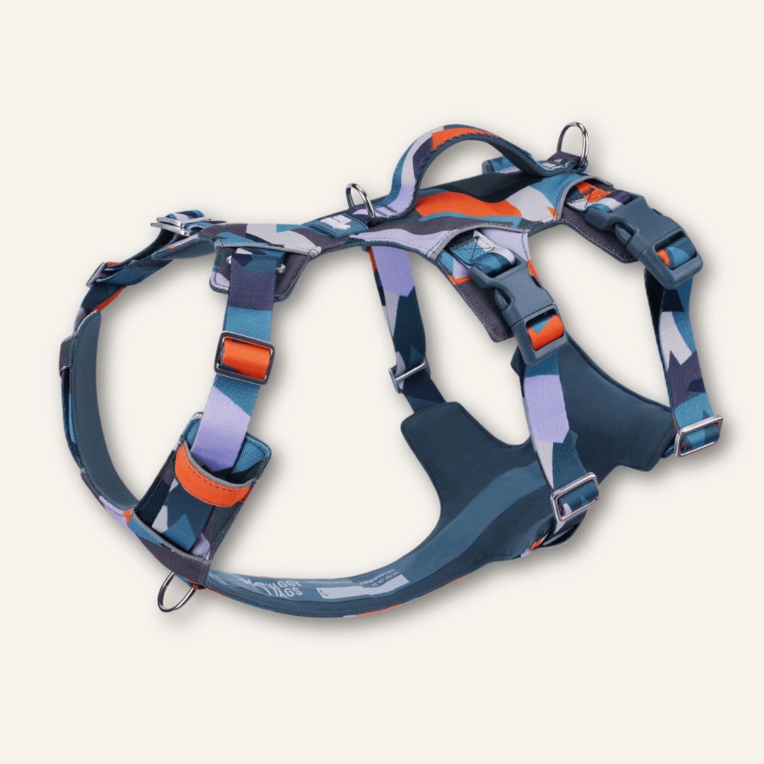 Twiggy Tags Scramble Harness Size 6