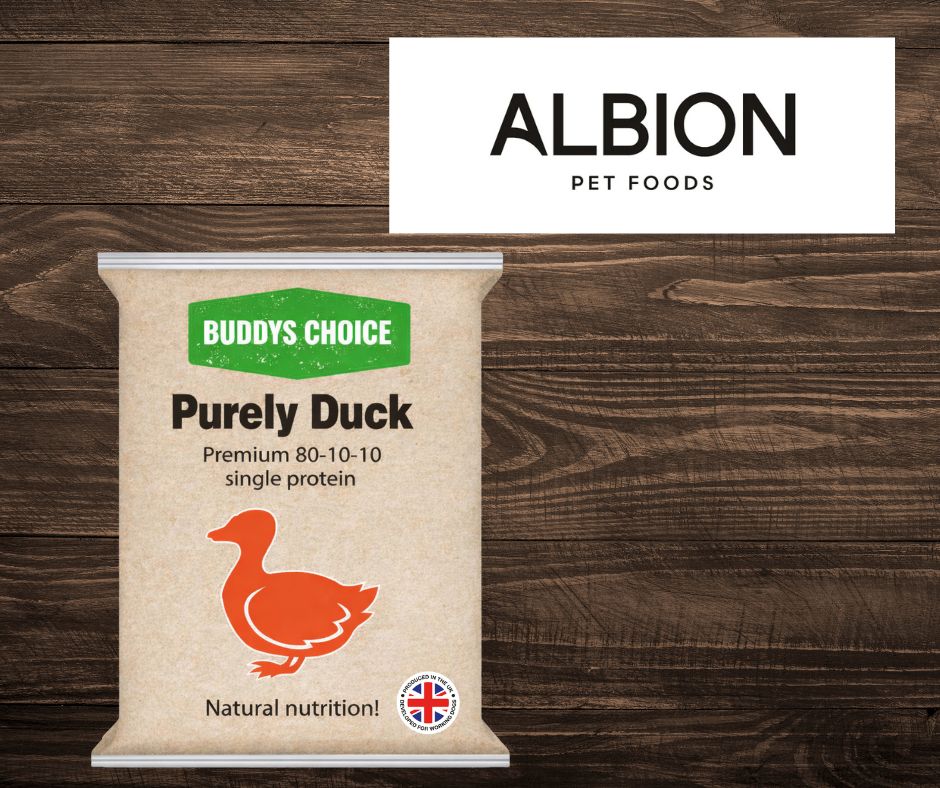 Albion Buddys Choice Purely Duck