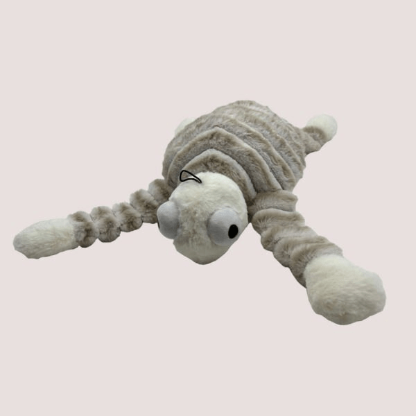 Gor Pets Reef Bobble Turtle Mummy