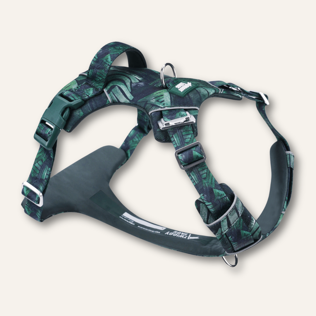 Twiggy Tags Adventure Harness Canopy Size 6