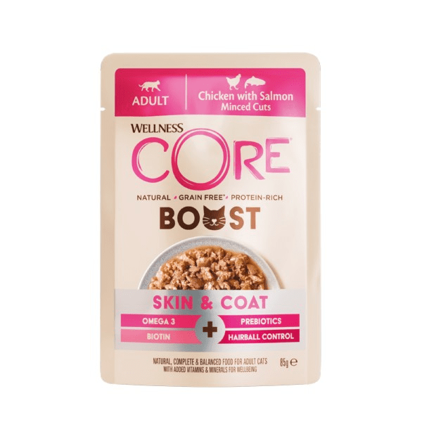 Wellness Core Skin & Coat 85g