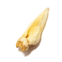 Anco Goat Ear