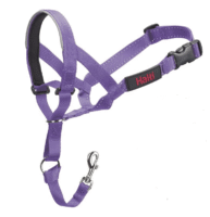 Halti Headcollar Padded Purple Size 4