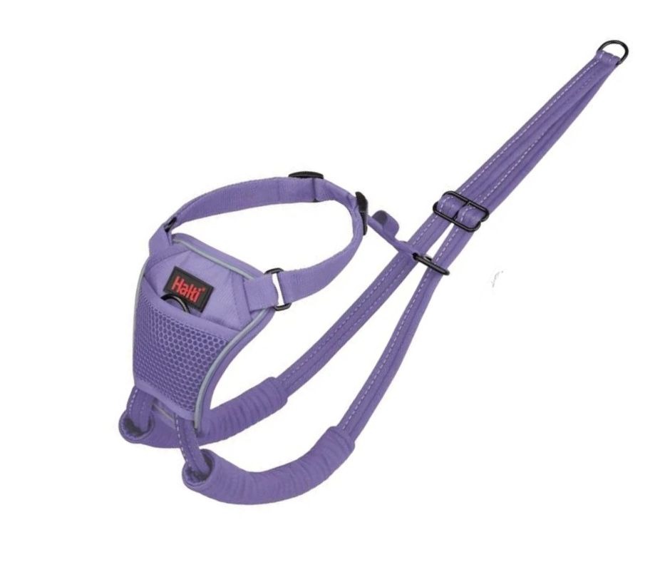 Halti No Pull Harness Medium Purple