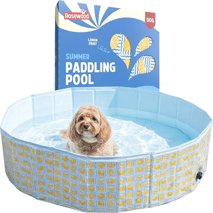 Rosewood Lemon Paddling Pool