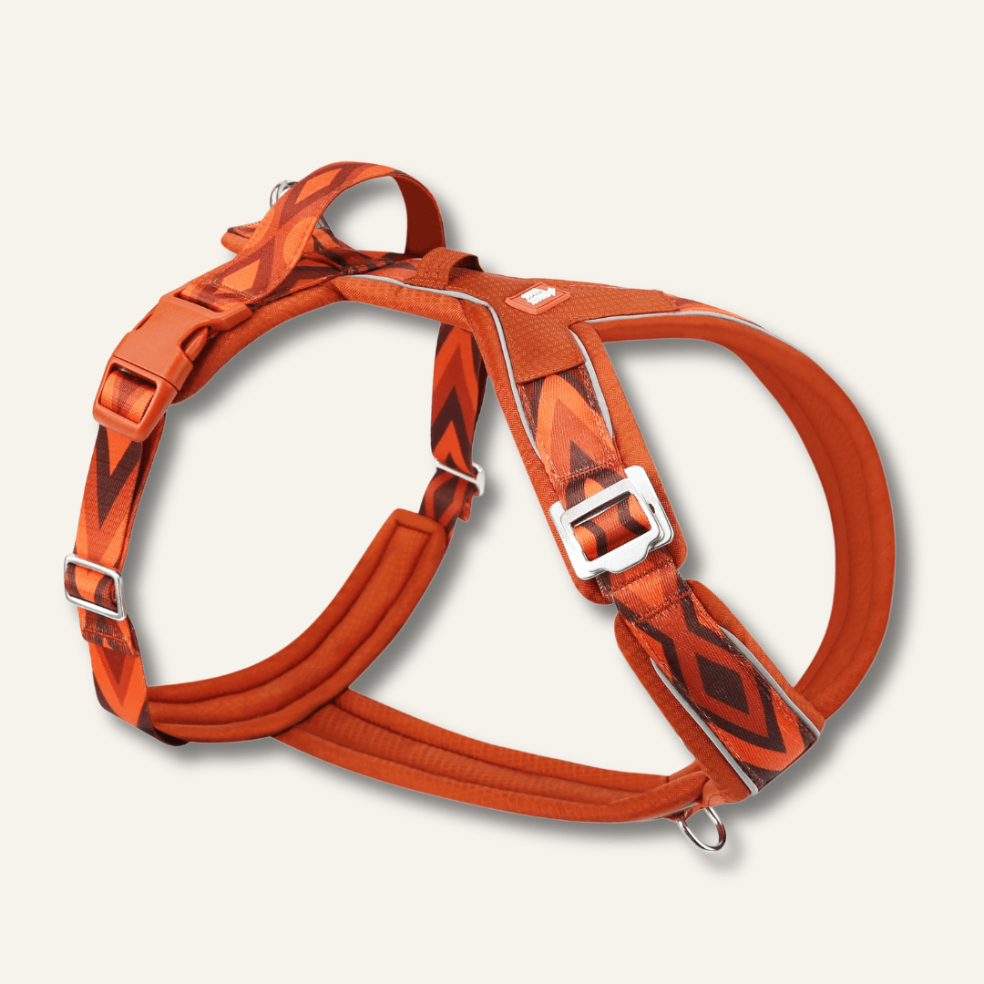 Twiggy Tags Apex Harness Dawn XXS