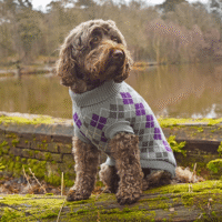 Penrose Grey Argyle Jumper 35cm