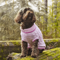Penrose Pink & Raspberry Jumper 20cm